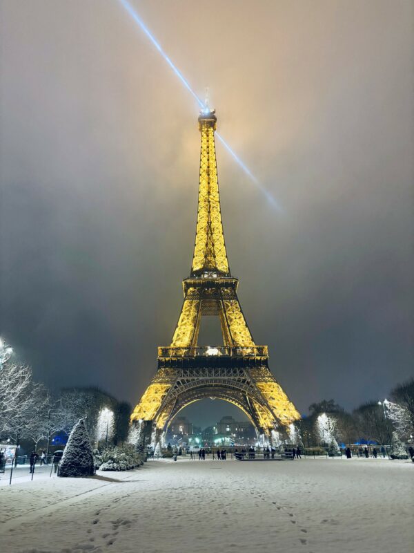 croissance bluebirds